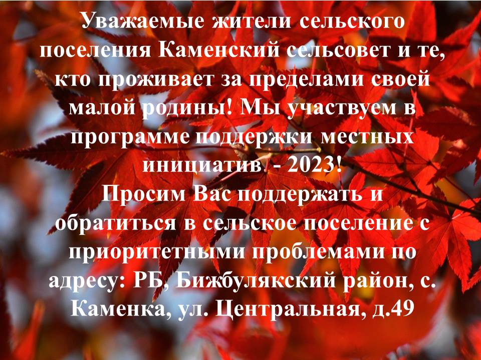 Ппми 2023 картинки